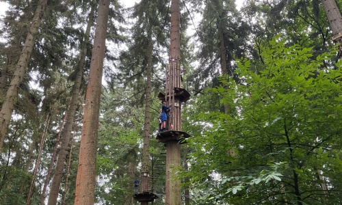 Year 12 Induction Programme, student climbing in a tree